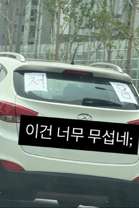 보초 다음으로 무서운 초보운전 표시...jpg