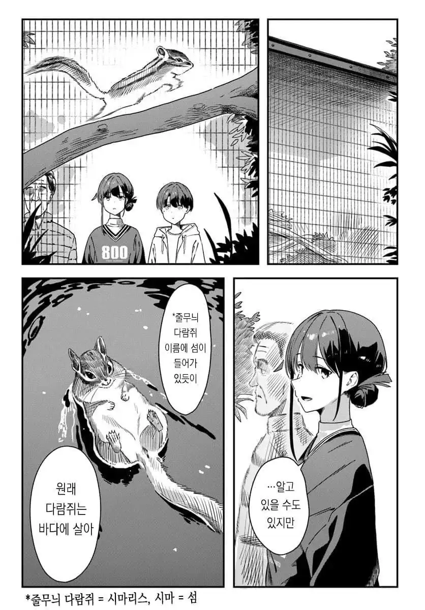 줄무늬 다람쥐 습성을 알려주는 .manhwa