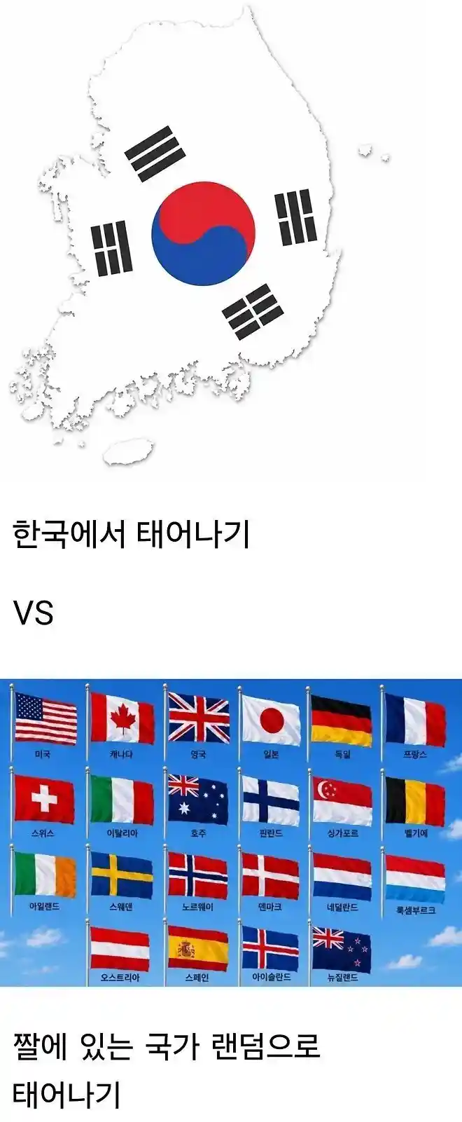 다시 태어나면 한국 vs 짤 국가 랜덤.jpg