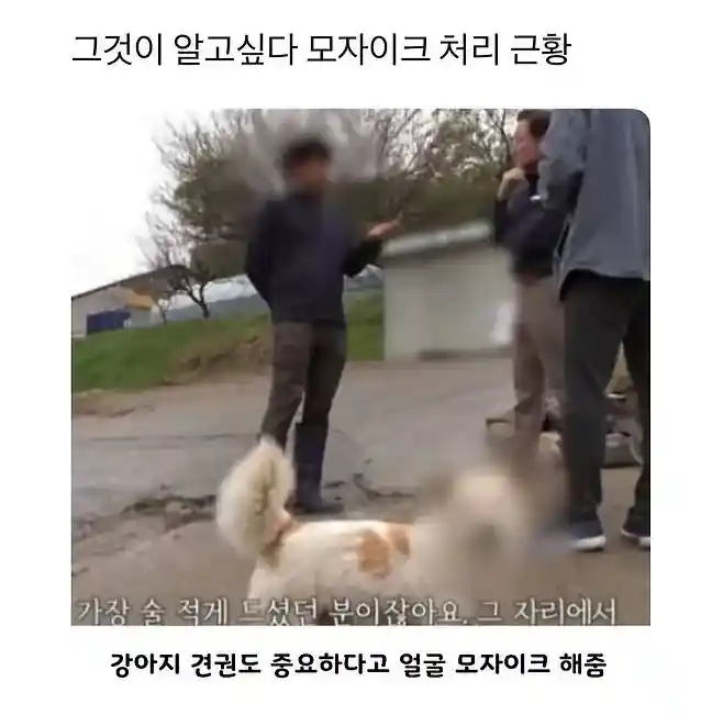 요즘은 개도 모자이크 하는 시대네
