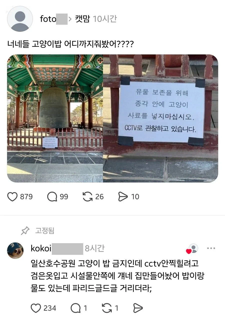 너네들 고양이밥 어디까지 줘봤어?