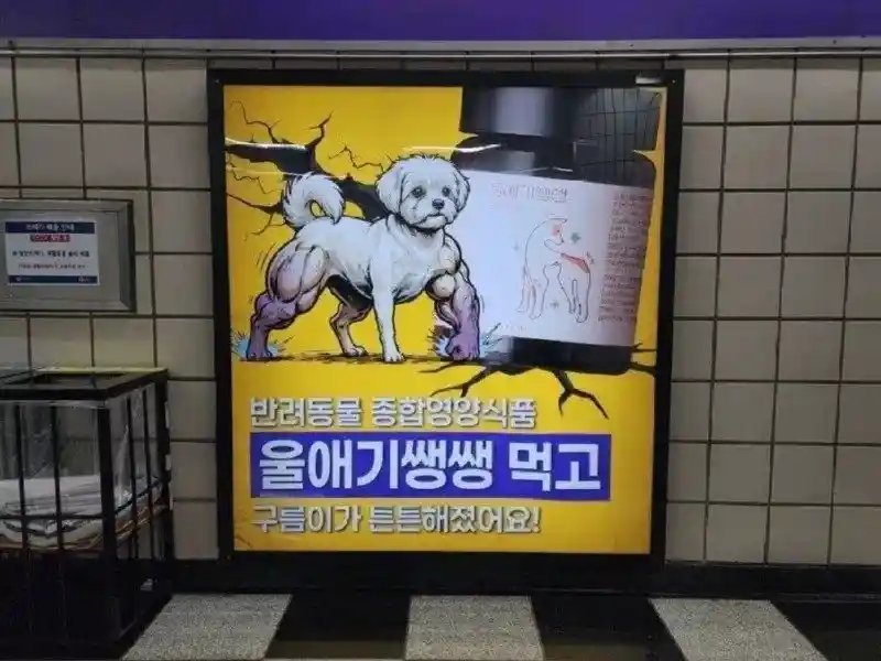 구름이가 튼튼해졌어요!