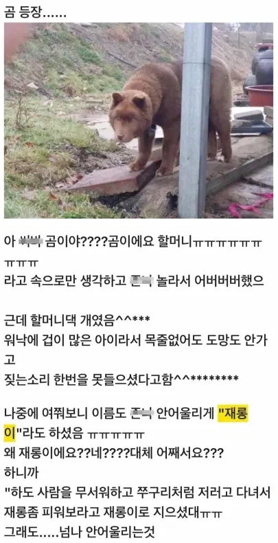 할머니 집에서 만난 곰