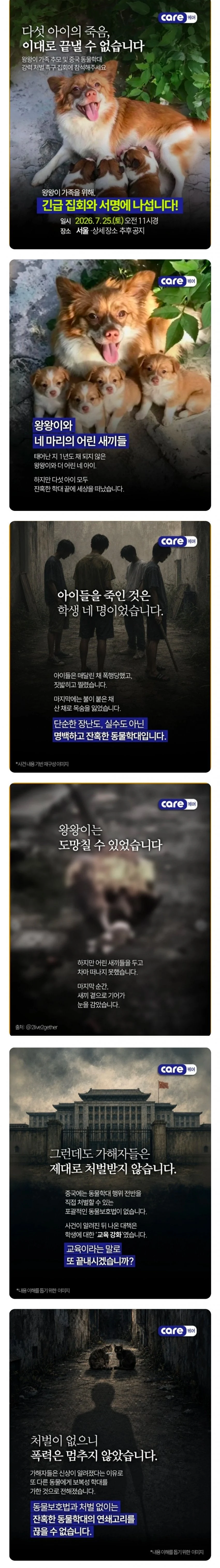 중국에서 일어난 동물학대를 한국에서 시위함