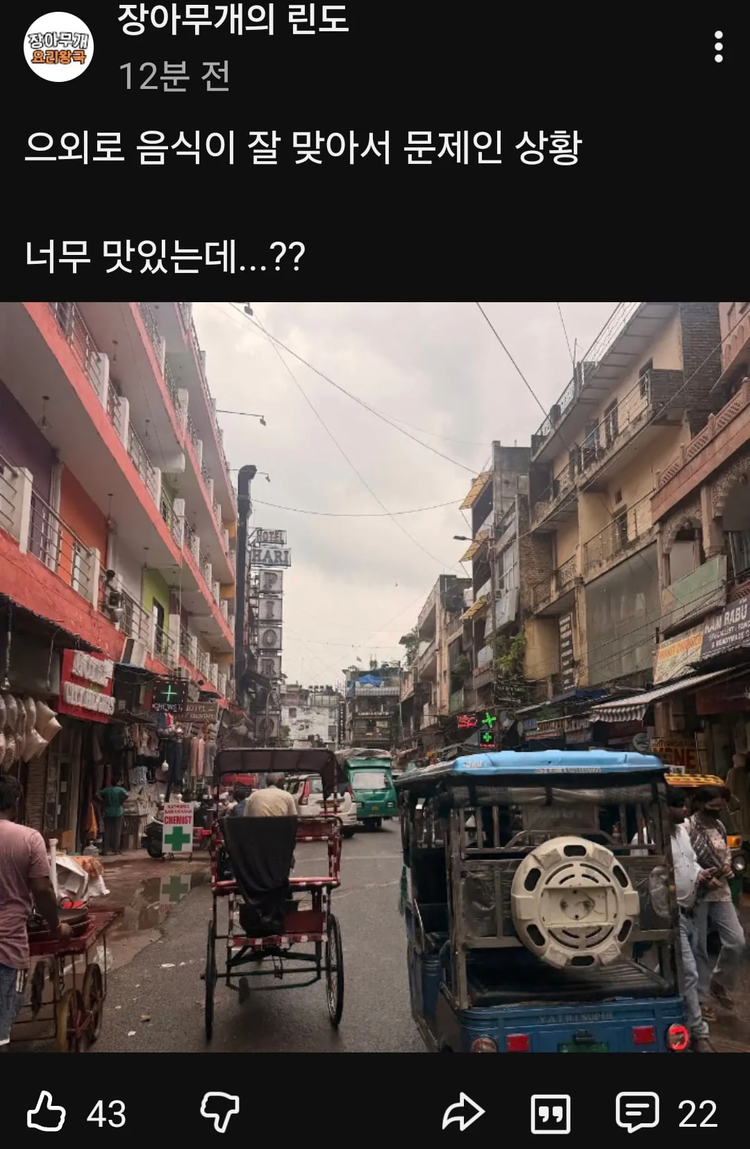 ㅇㅌ) 인도에 간 린도린도 채널 주인근황