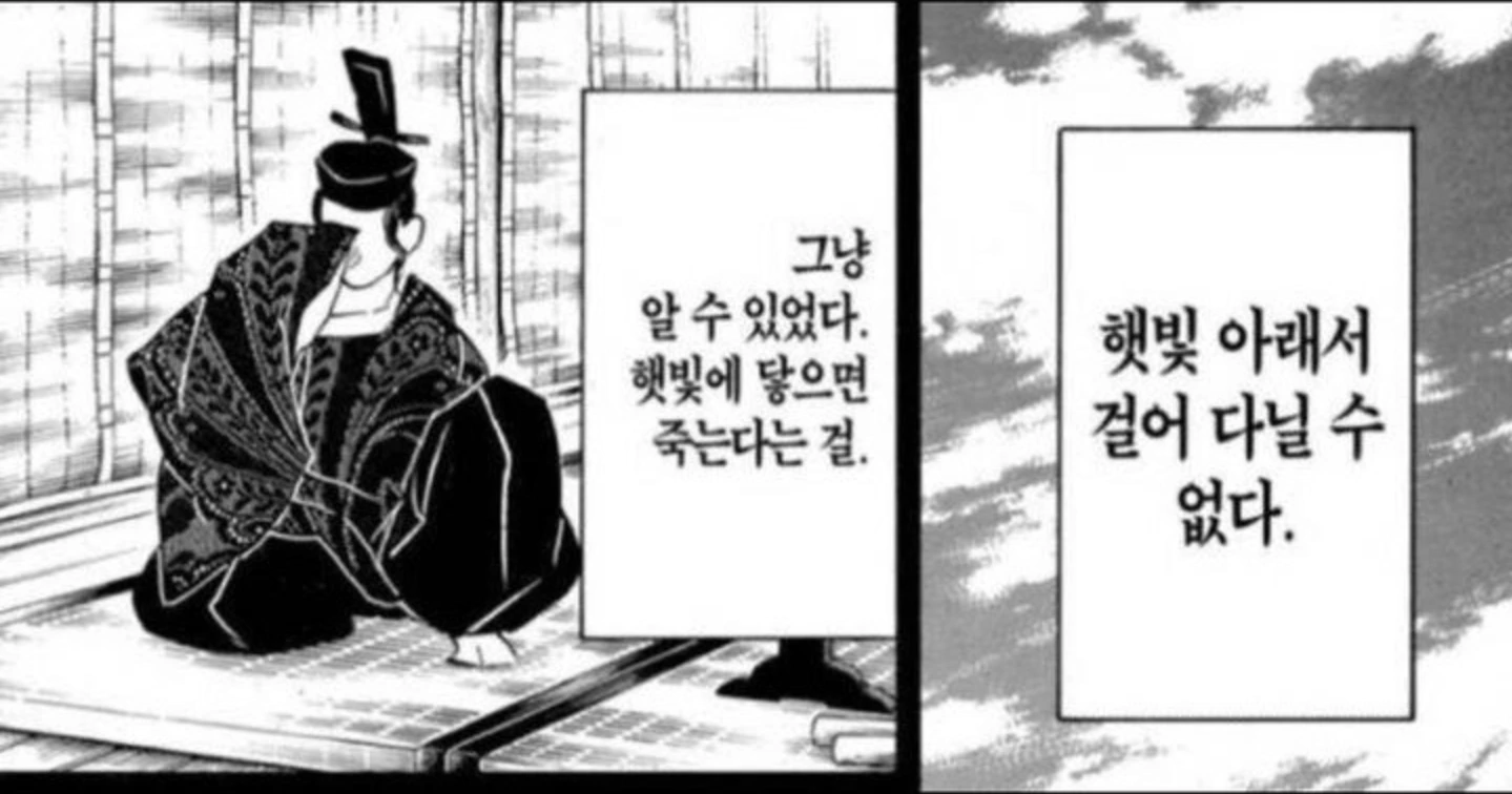 햇빛 아래서 걸어 다닐 수 없다
