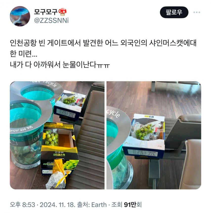 공항에서 발견 된 샤인머스켓.jpg