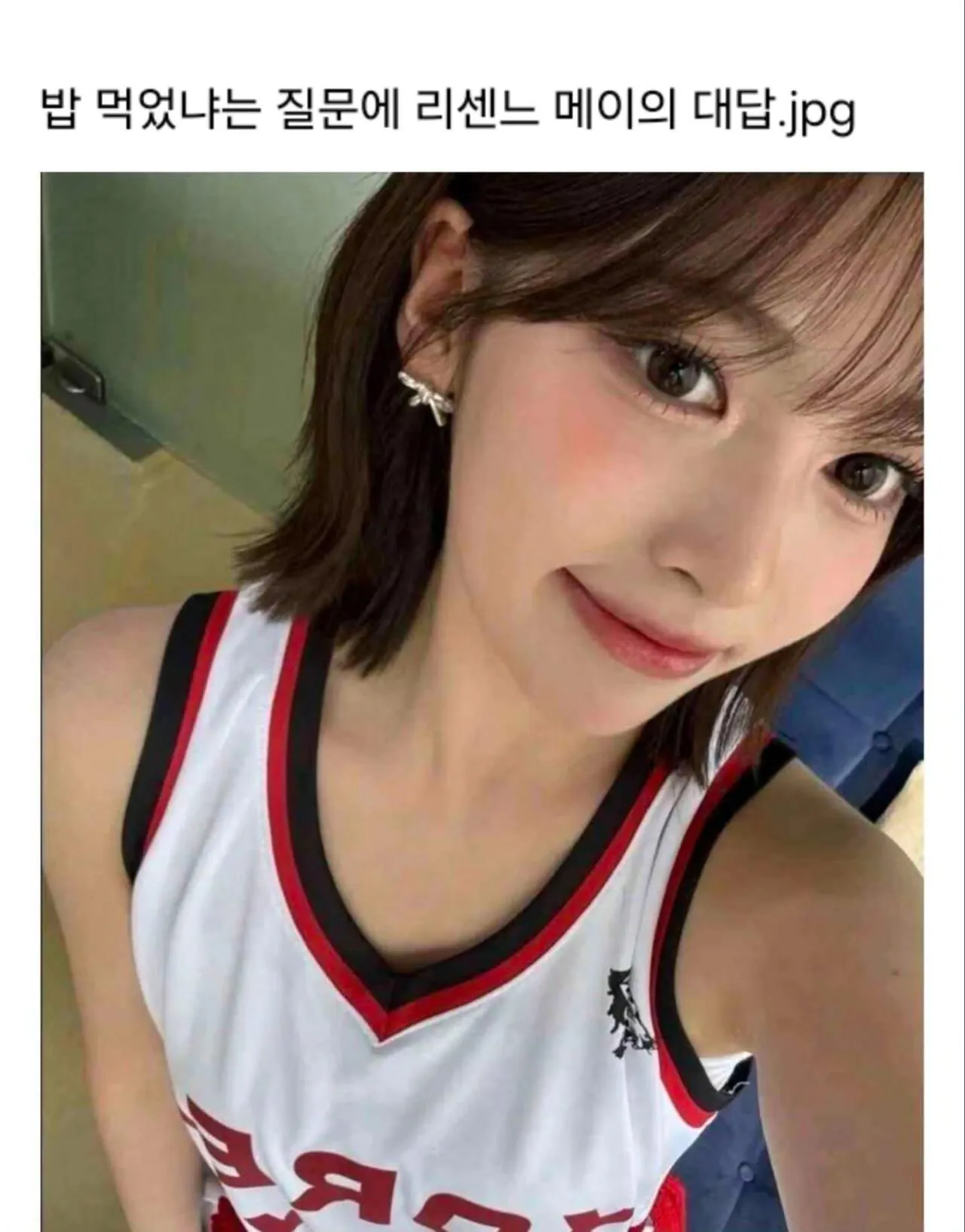 밥 먹었냐는 질문에 리센느 메이의 대답.jpg