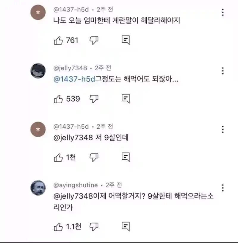 "엄마한테 계란말이 해달라 한다고? 그정돈 직접 해먹어라"