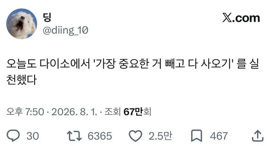 오늘도 다이소에서 '가장 중요한 거 빼고 다 사오기' 를 실천했다