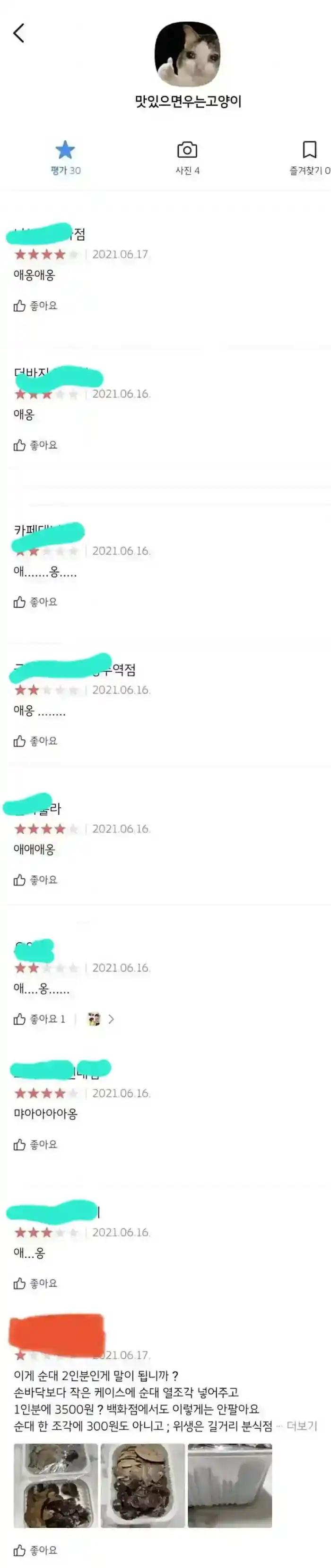 맛있으면 우는 고양이