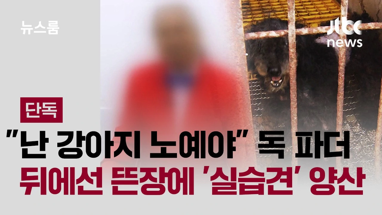 반려동물 미용계 대부 '독 파더'…뒤에선 불법 뜬장 운영