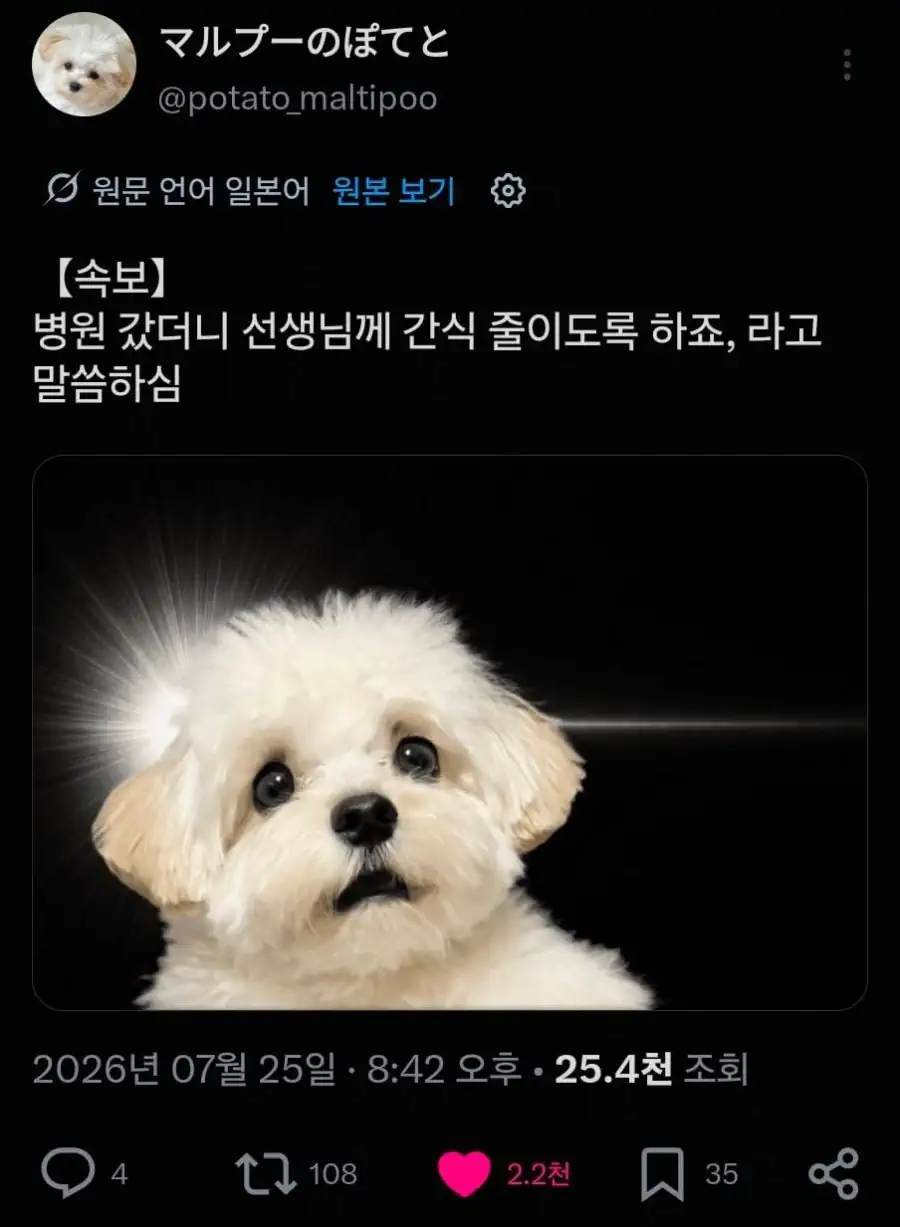 멍몽이들에게는 날벼락같은 소식이래 ㅠㅠㅠㅜㅜㅜ