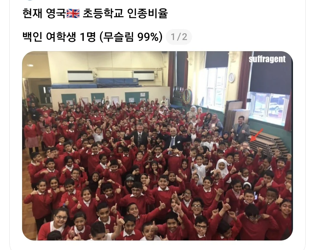 영국의 한 초등학교 인종 비율