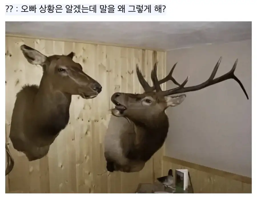 “씨발년아 내가 그냥 집에 있자 했냐 안했냐!