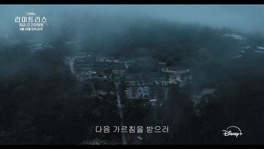 디즈니가 생각하는 한국 불교의 모습
