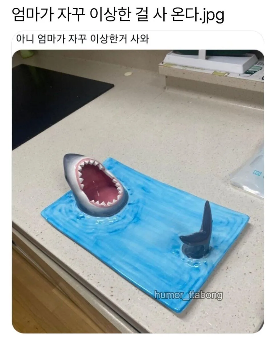 엄마가 자꾸 이상한걸 사온다