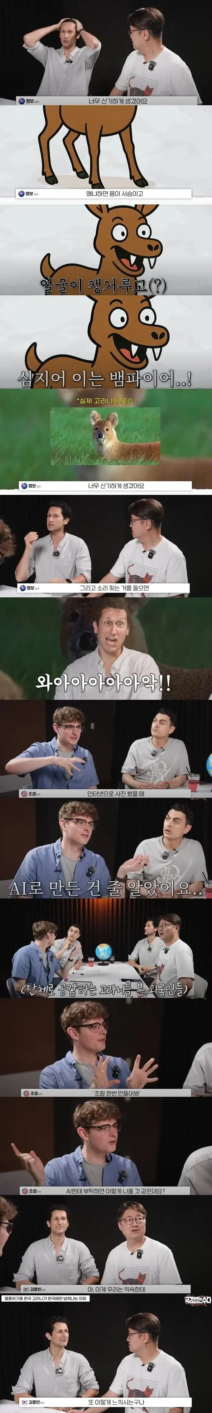 외국인들은 존재자체를 못믿겠다는 한국 토종 동물