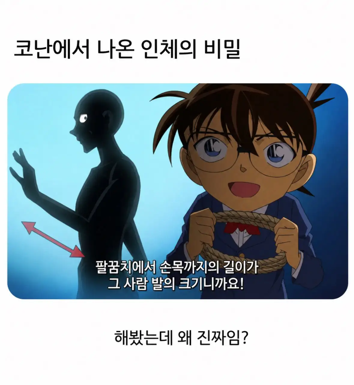 코난에서 나온 인체의 비밀