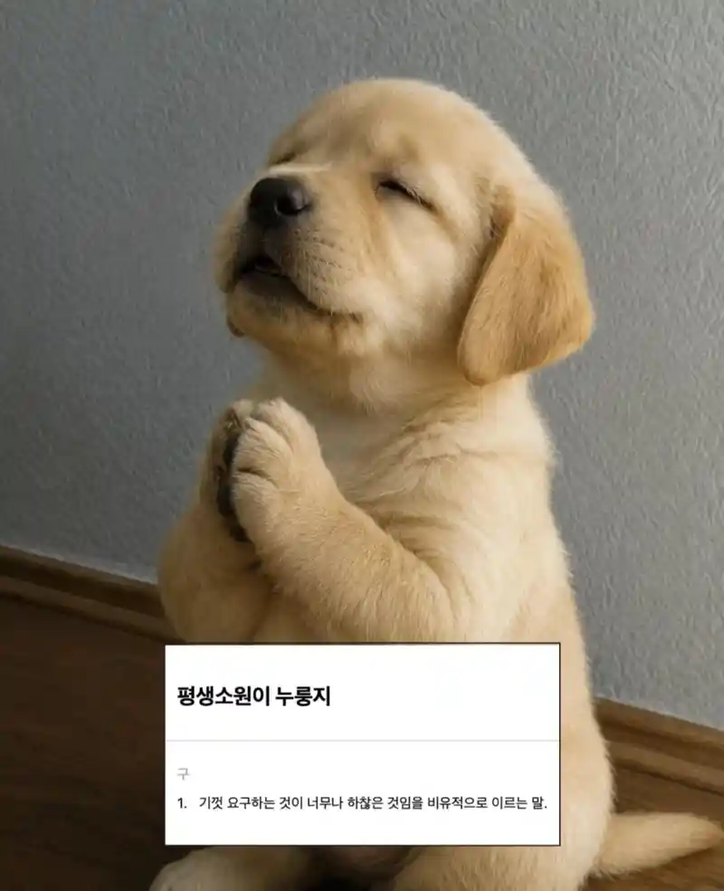 귀여운 한국 속담 모음.jpg
