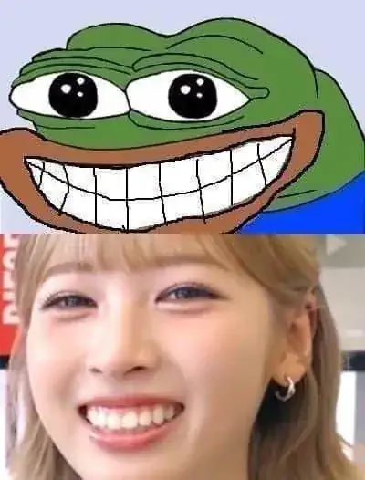 리센느 메이 제나 닮은꼴