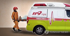 대전 빌라 3층서 창호 교체하던 50대, 6m 아래로 추락…병원서 사망