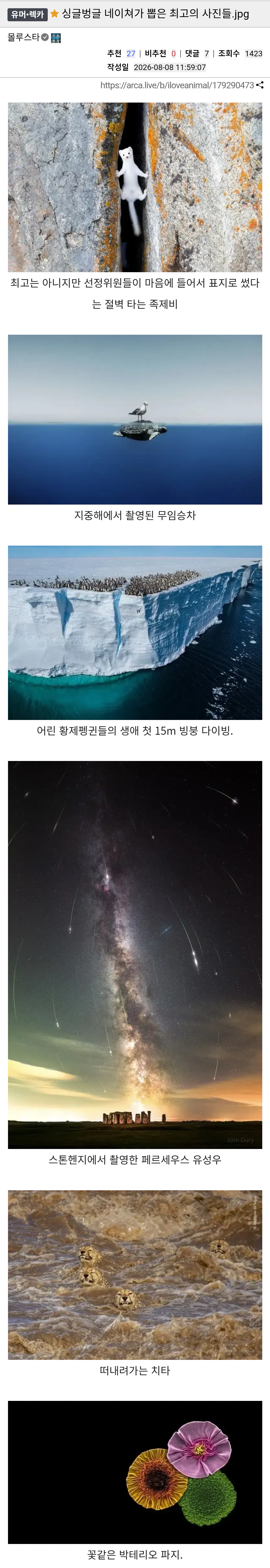 싱글벙글 네이쳐가 뽑은 최고의 사진들.jpg