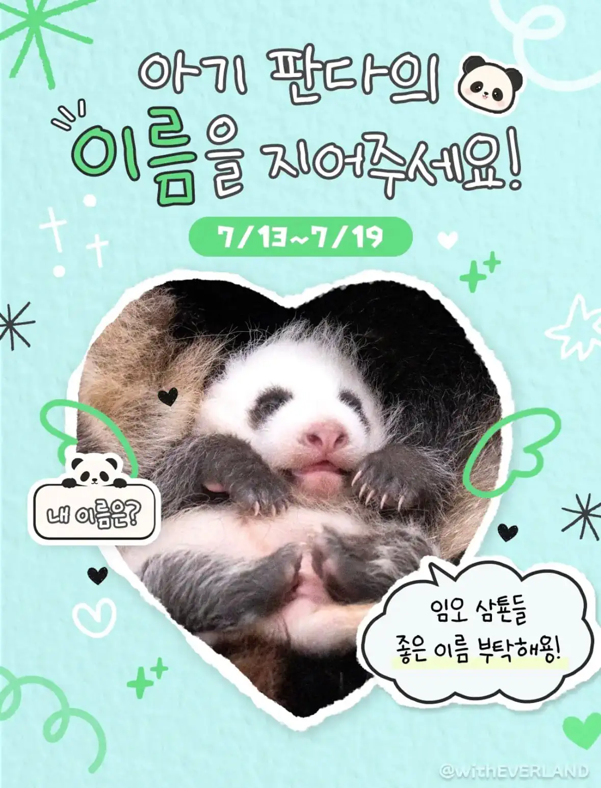바오가족 막내 아기 판다 이름 공모 이벤트 🐼
