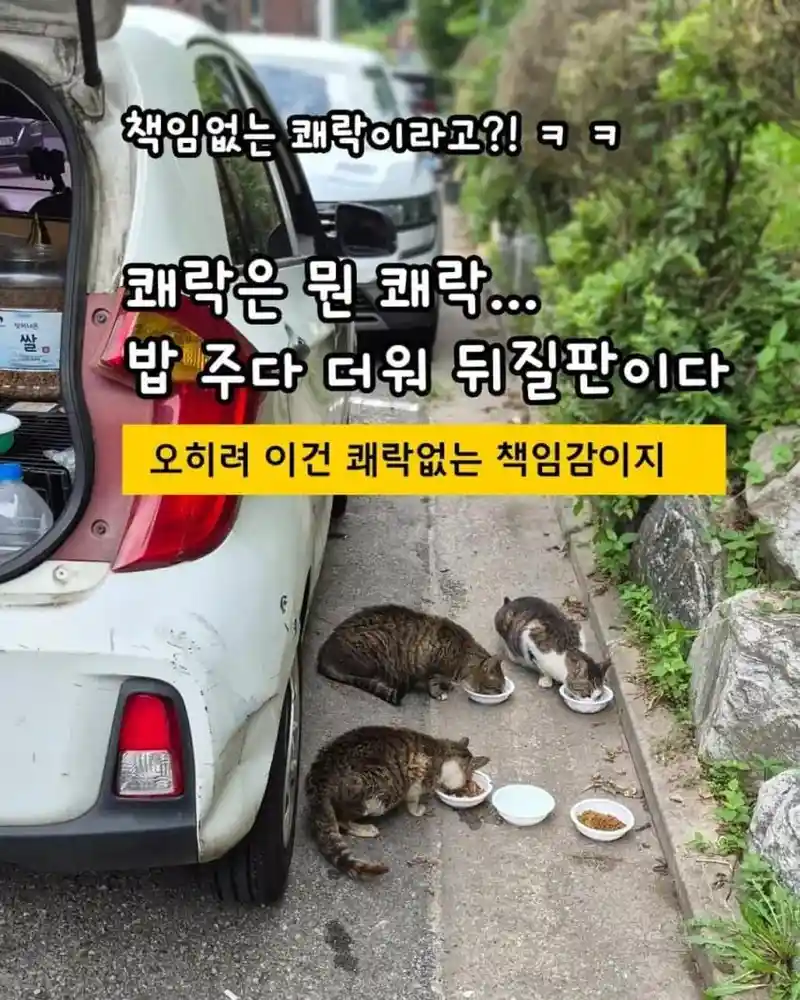 "책임없는 쾌락"이란 말에 빡친 캣맘