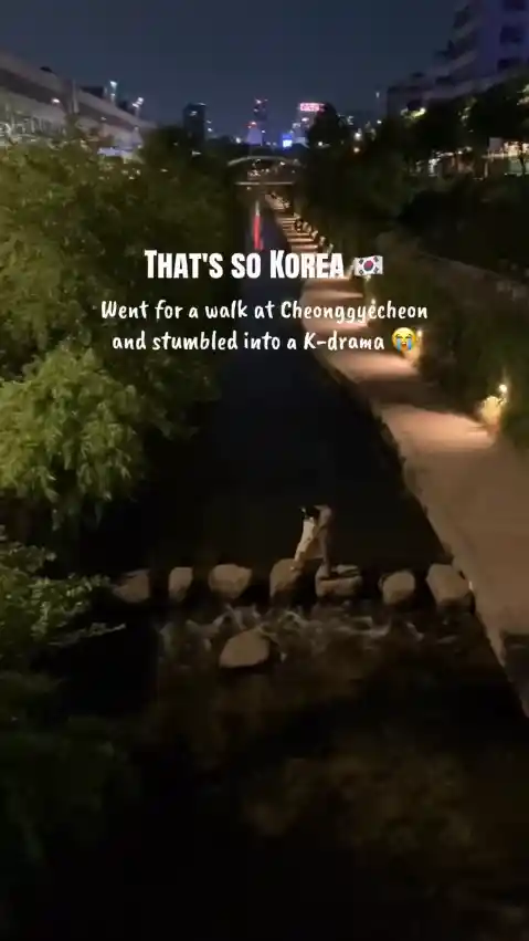 청계천 건너가는 커플.mp4