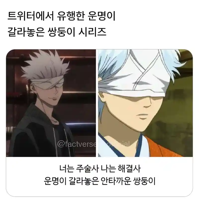 ㅆㄸ) 운명이 갈라놓은 안타까운 쌍둥이
