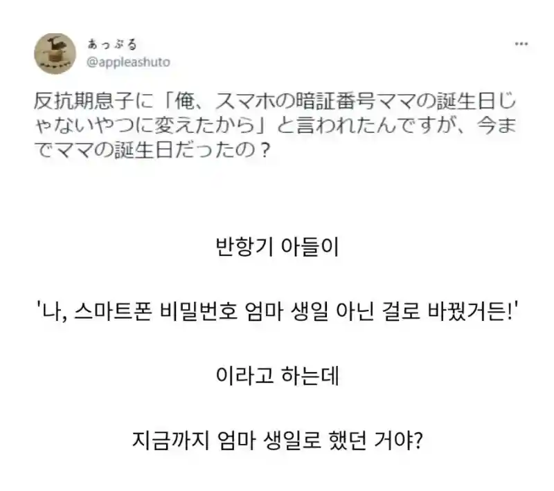 반항기에 접어든 아들