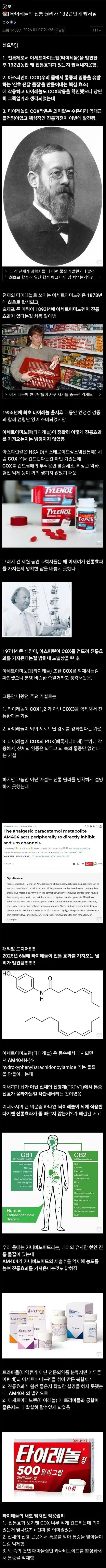 132년만에 밝혀진 타이레놀의 진통 원리