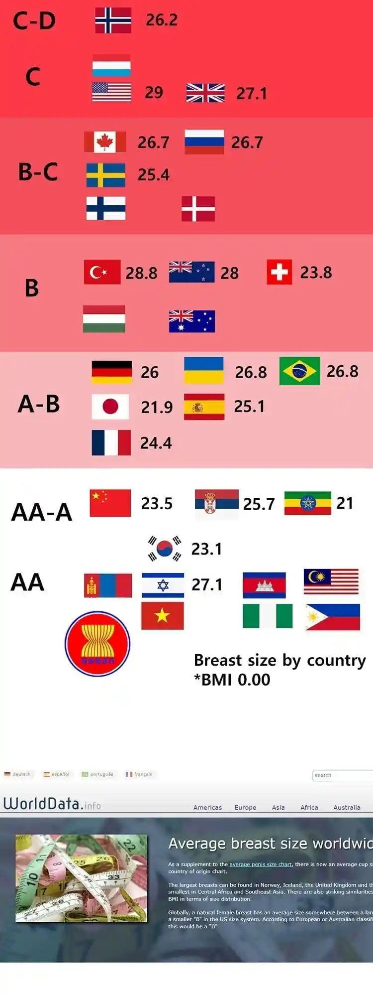 세계 여자 가슴 크기 순위