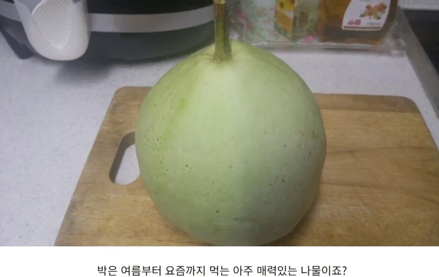 유명하지만, 거의 안먹는 한국 채소 박