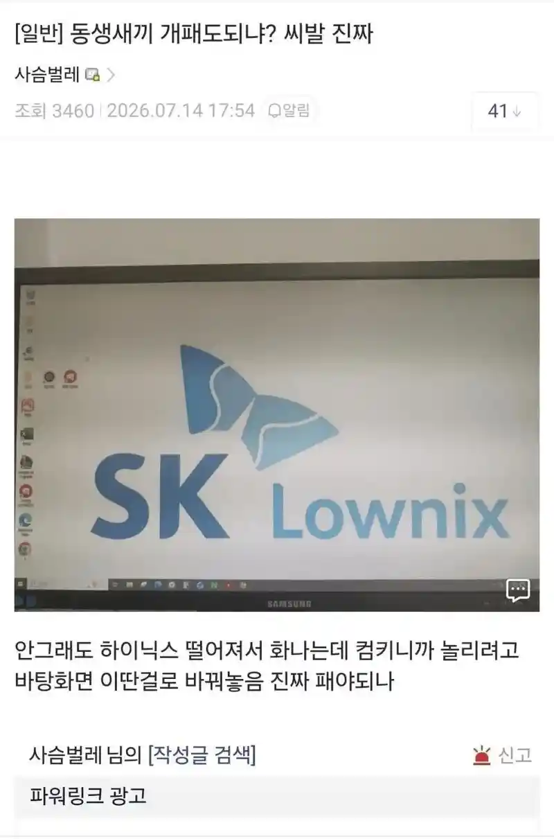 동생한테 조롱당하는 하이닉스 주주