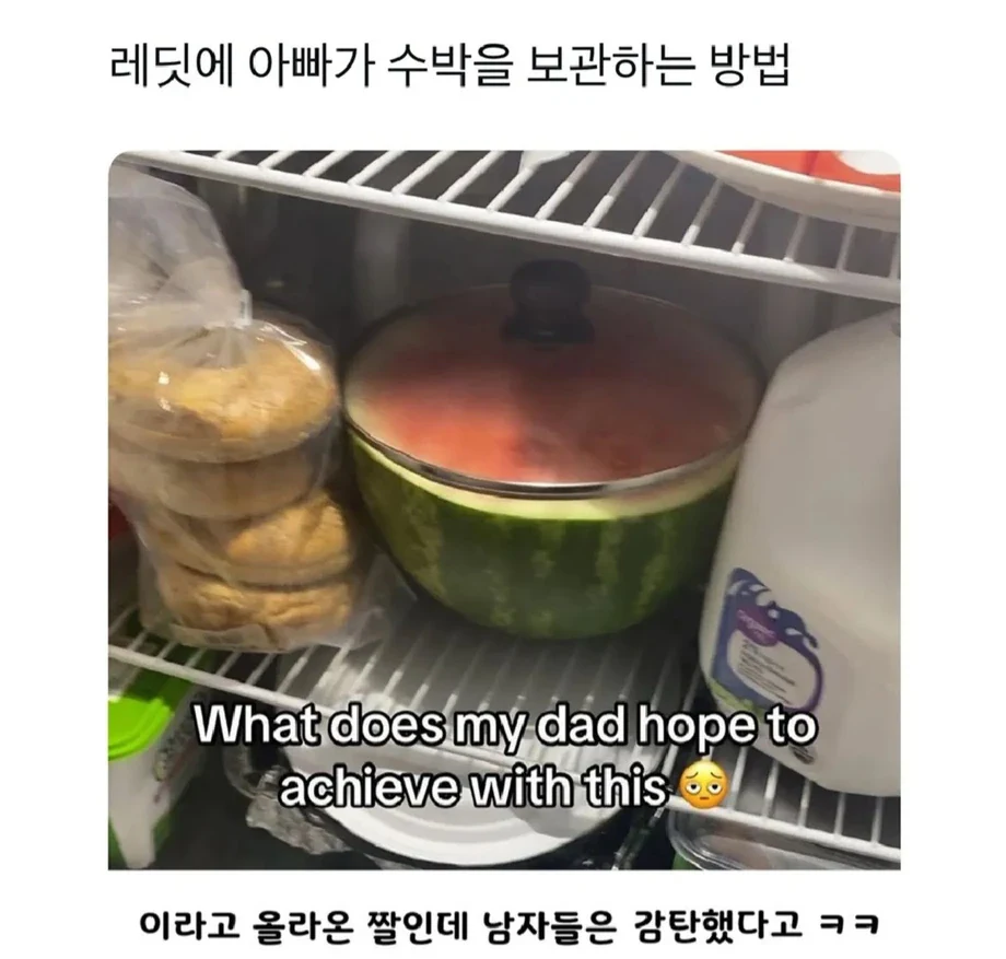 레딧에 아빠가 수박을 보관하는 방법