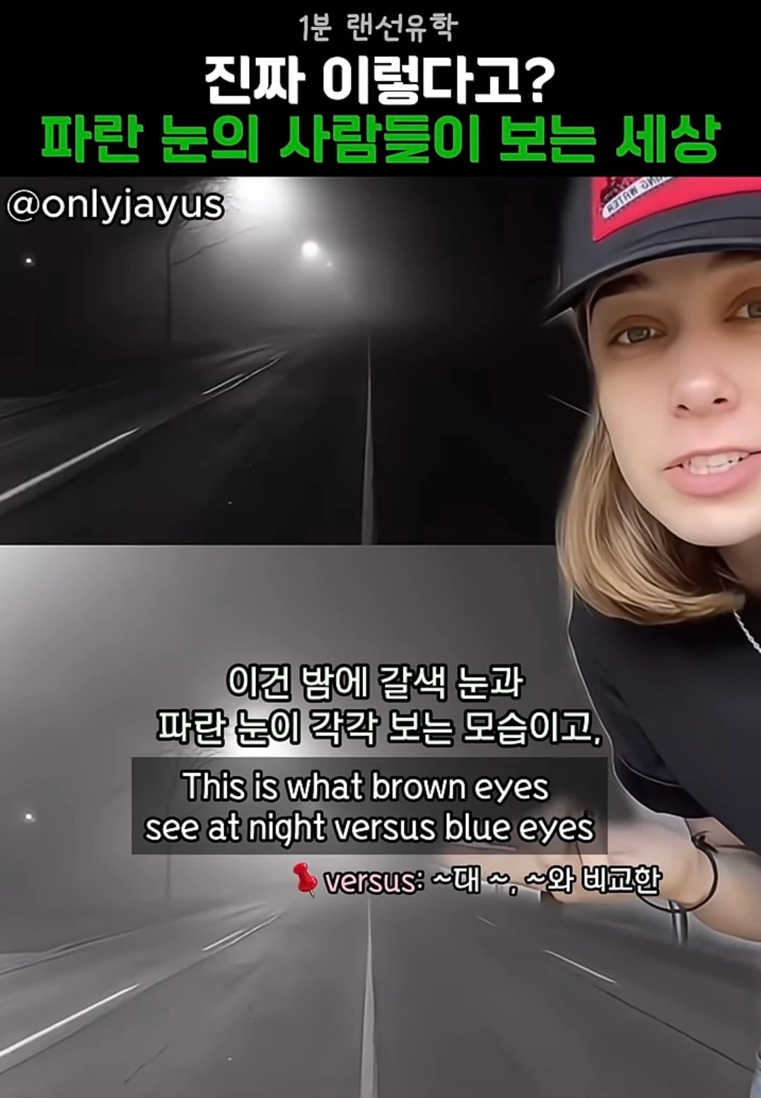 벽안/갈색눈 보이는게 이정도로 차이난대