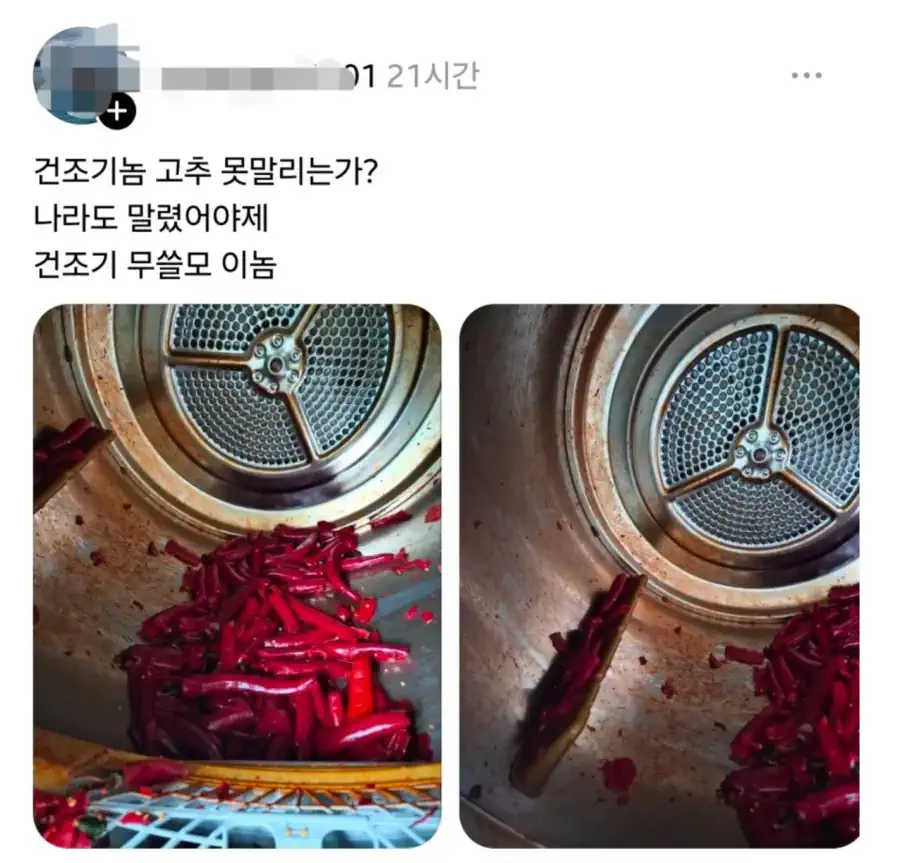 잘 익은 고추를 빠르게 말리기 위해 남자가 선택한 수단