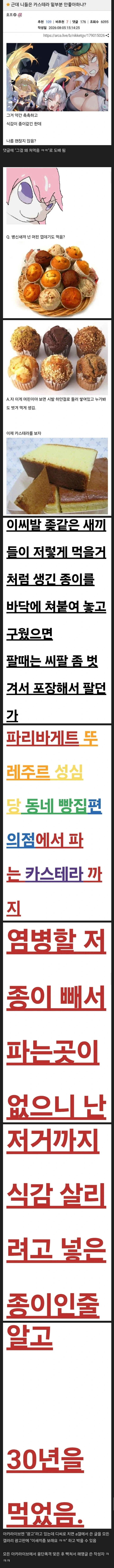 어제자 난리났던 아카라이브 카스테라 사건
