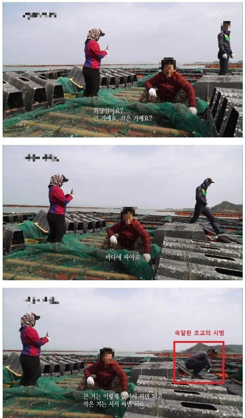 노로 바이러스에 걸리는 이유