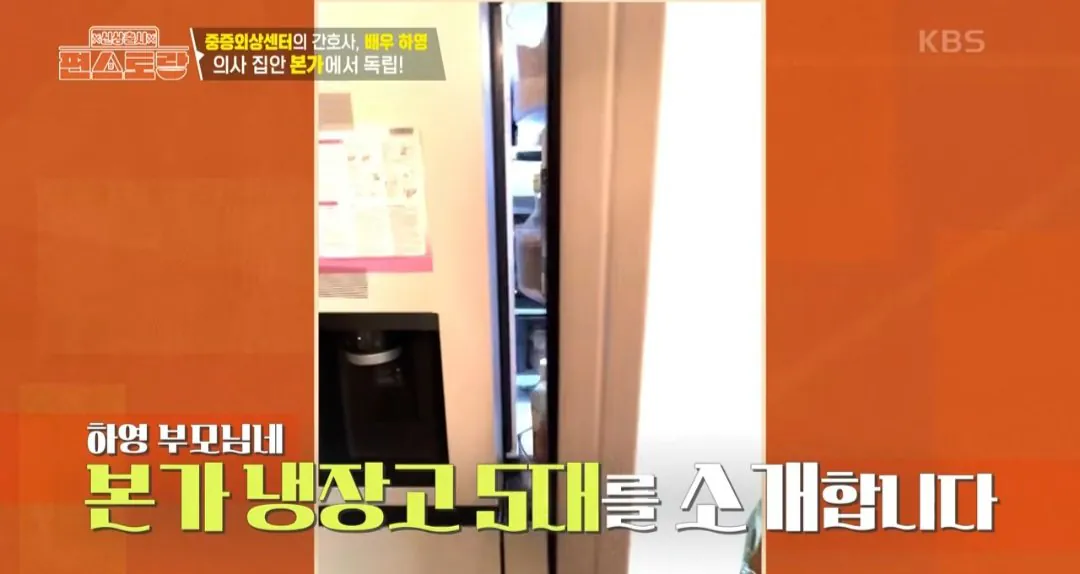 배우 하영 본가 재력 수준 ㄷㄷ