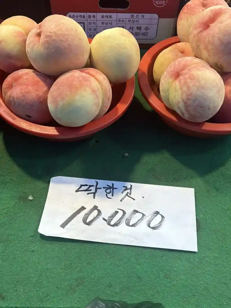 불쌍한 복숭아.jpg