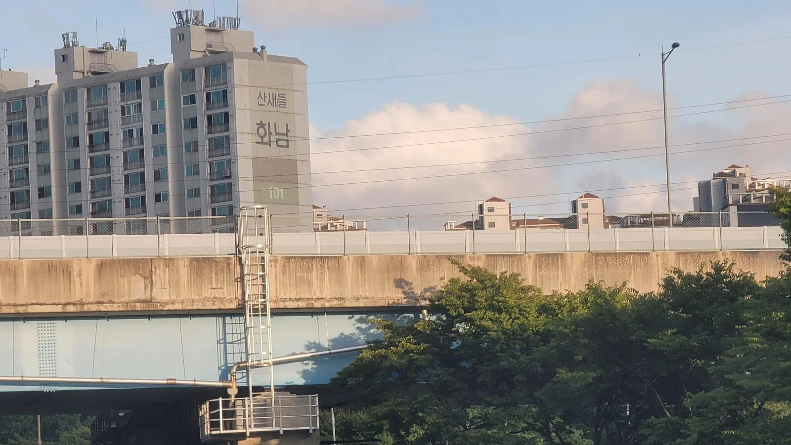 산새들이 화가 잔뜩 남