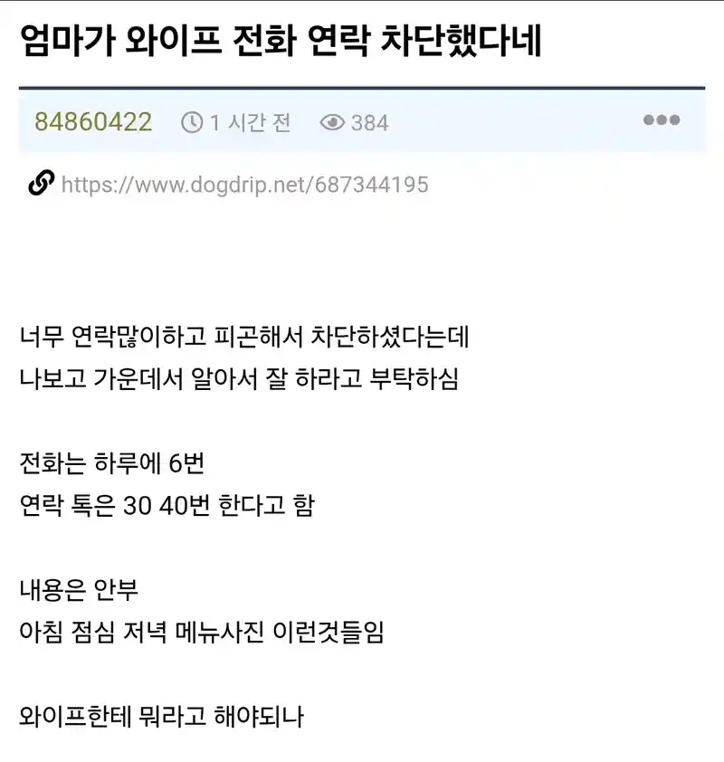 며느리의 전화,연락을 차단한 시어머니