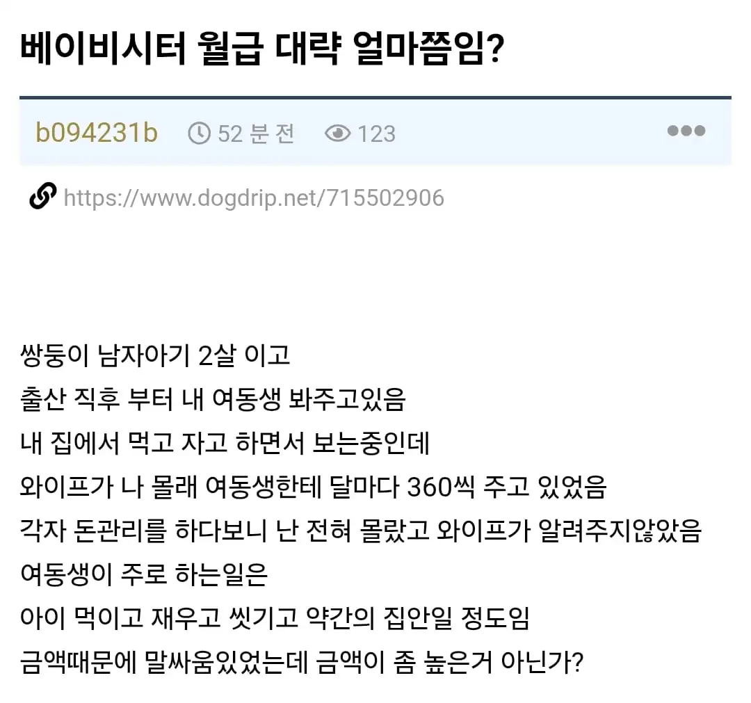 베이비시터 월급 대략 얼마쯤임?.JPG