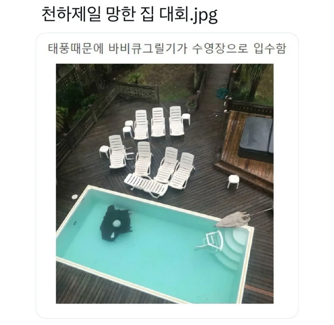 천하제일 망한 집 대회