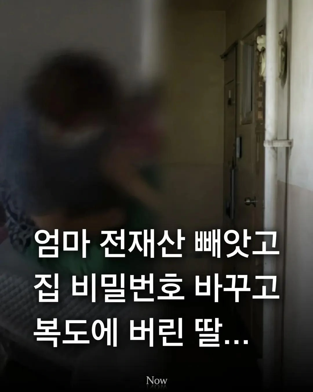 엄마 전재산 빼앗은 막내딸 기사 반전 포인트