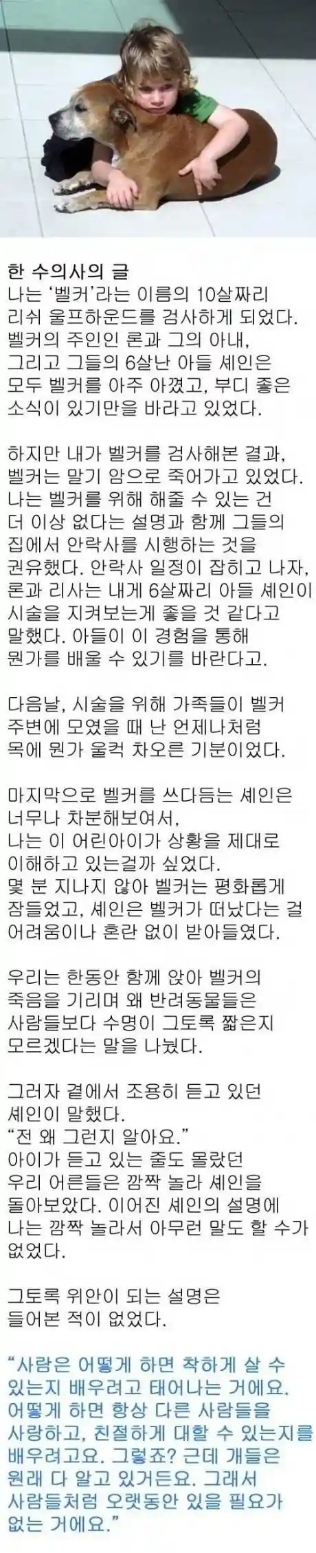 반려동물 수명이 짧은.eu