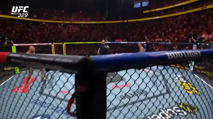 맥그리거, UFC 복귀전 TKO패